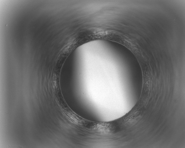 X0000057060758200509161451