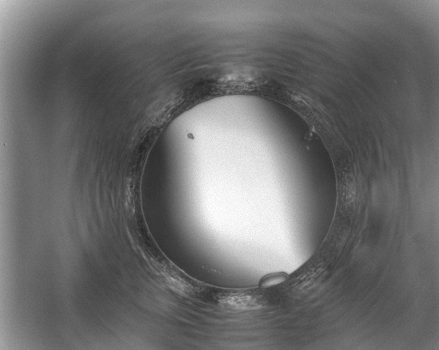 X0000057060759200509161451