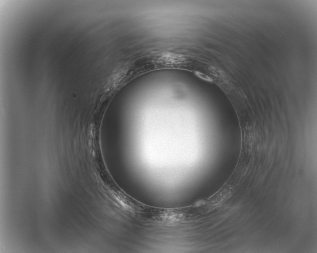 X0000057060760200509161451