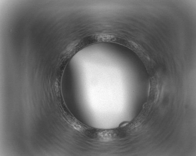 X0000057060761200509161451