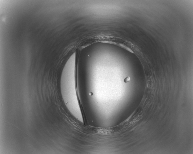 X0000057060762200509161451