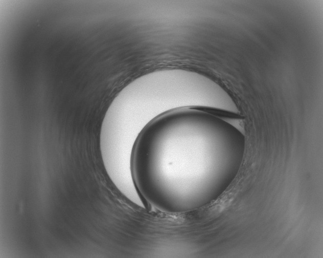 X0000057060768200509161452