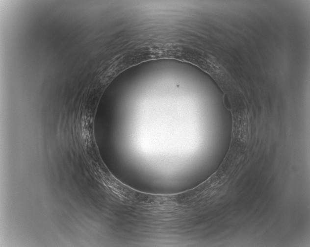 X0000057060770200509161451