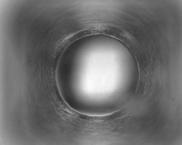 X0000057060773200509161451