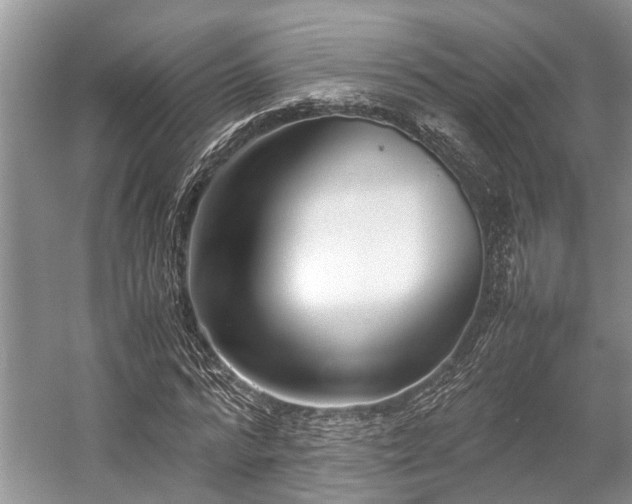 X0000057060776200509161451