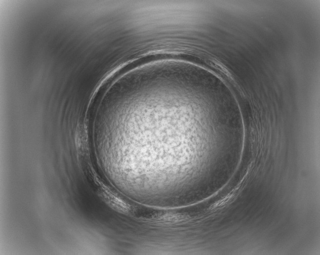 X0000057060779200509161451