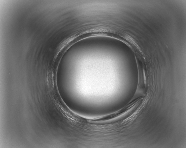 X0000057060781200509161450