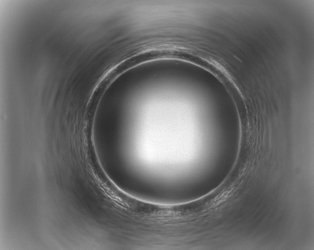 X0000057060783200509161450