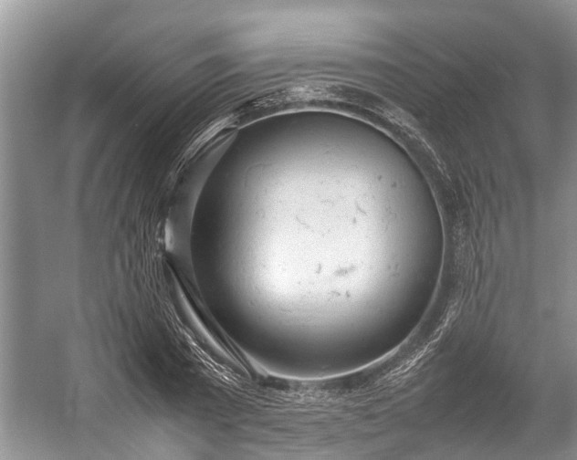 X0000057060785200509161450