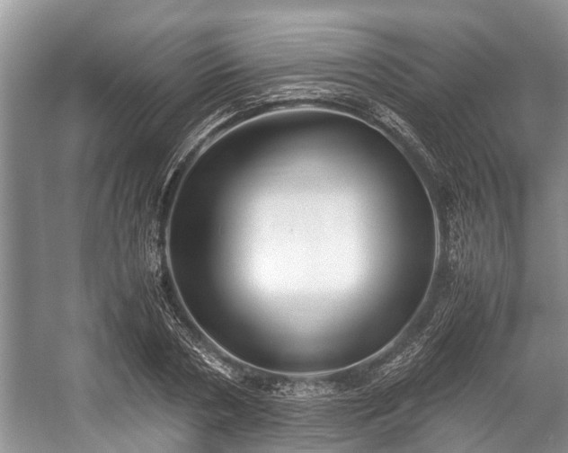 X0000057060786200509161450