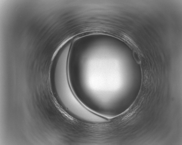 X0000057060788200509161450