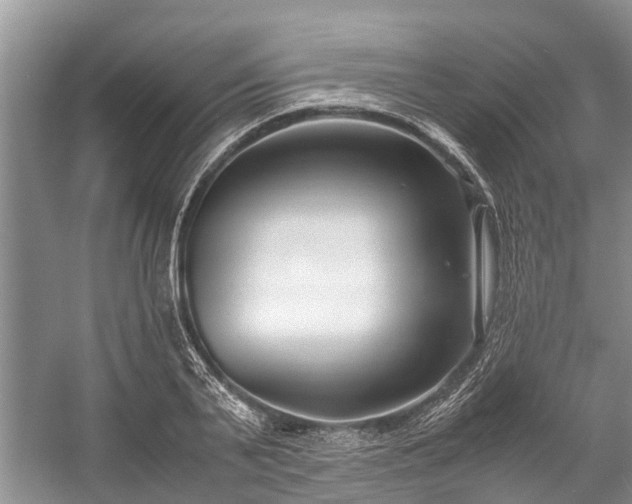 X0000057060791200509161450