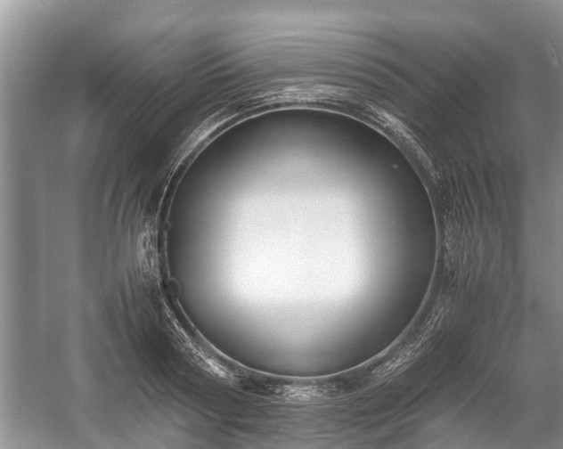 X0000057060794200509161450