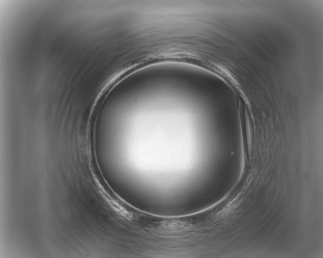 X0000057060795200509161450