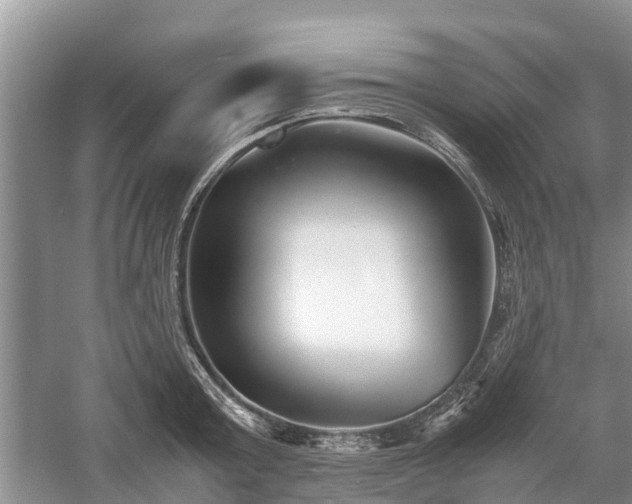 X0000057060803200509161450