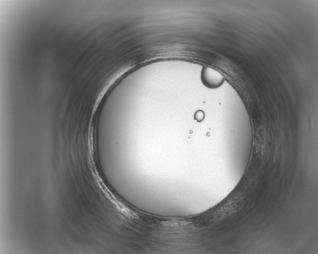 X0000057060804200509161450