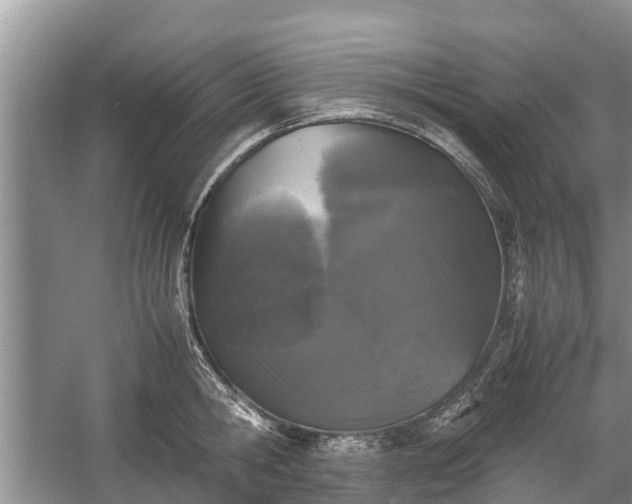 X0000057060806200509161450