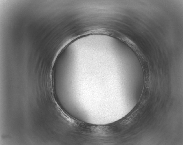 X0000057060808200509161450