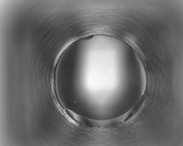 X0000057060812200509161450