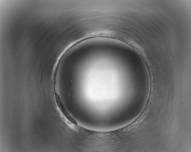 X0000057060816200509161450