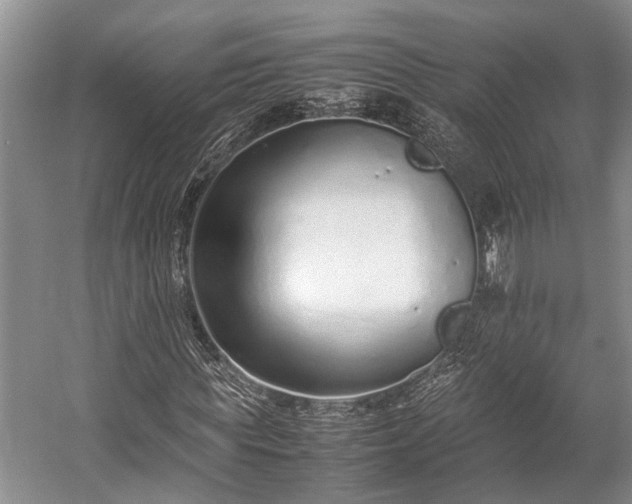 X0000057060819200509161449