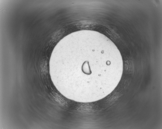 X0000057060820200509161449