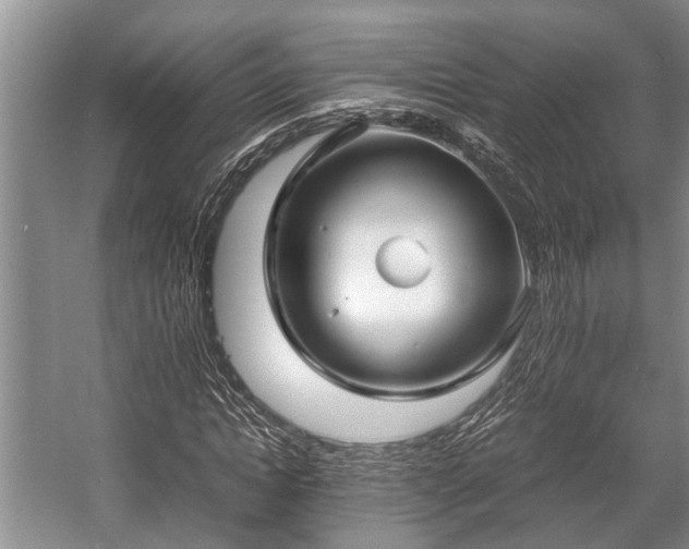 X0000057060822200509161449