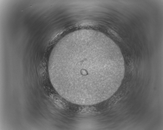 X0000057060824200509161449