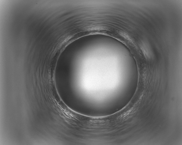 X0000057060825200509161449