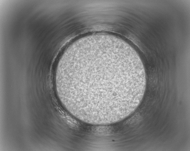 X0000057060832200509161449