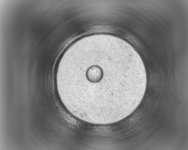 X0000057060836200509161449