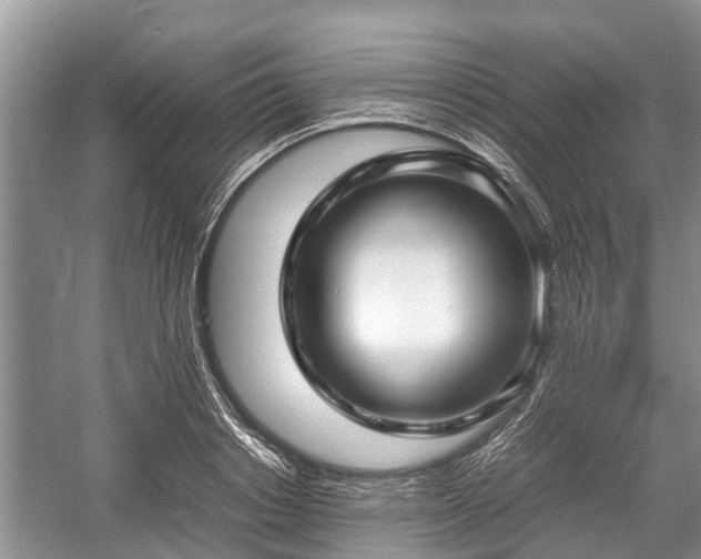 X0000057060842200509161450