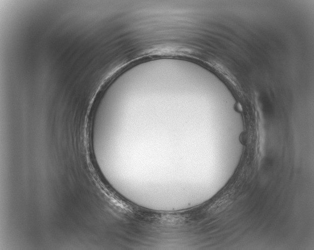 X0000057060848200509161450