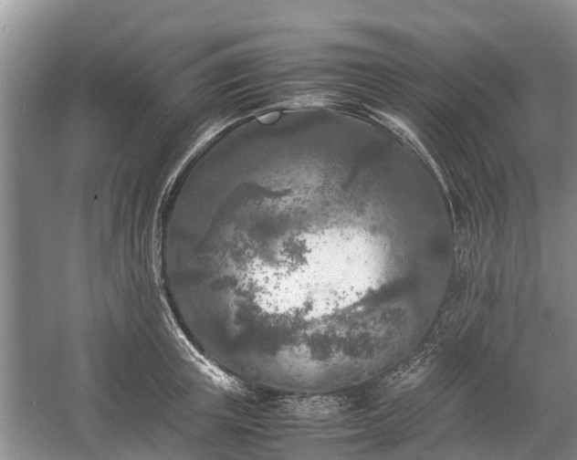 X0000057060851200509161450