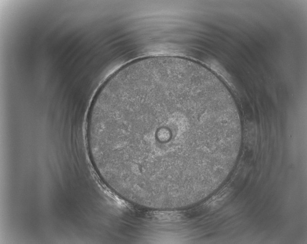 X0000057060856200509161450