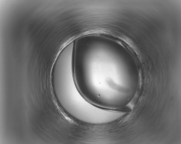 X0000057060858200509161450