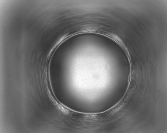 X0000057060859200509161450