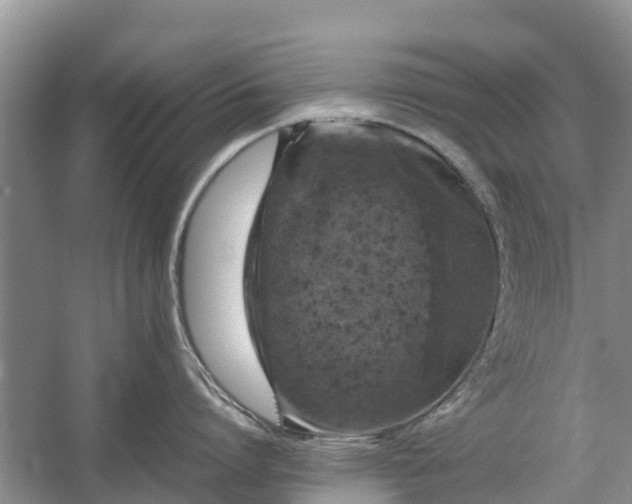 X0000057060864200509161450