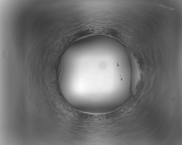 X0000057060865200509161449