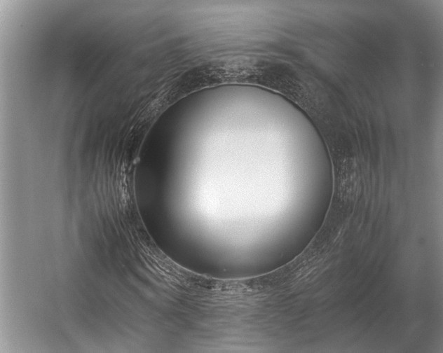 X0000057060866200509161449