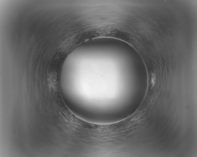 X0000057060867200509161449