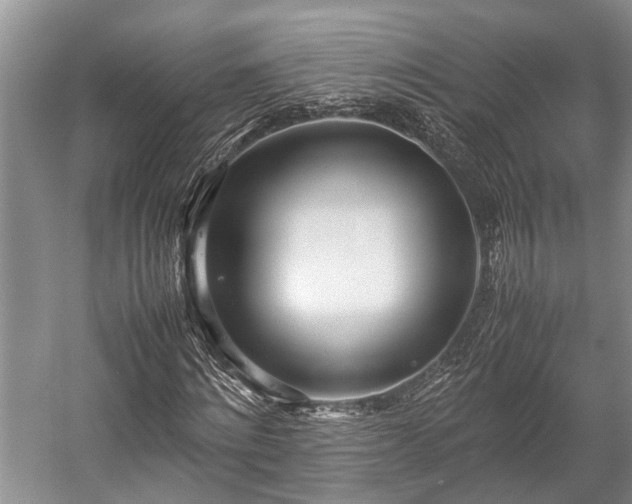 X0000057060868200509161449