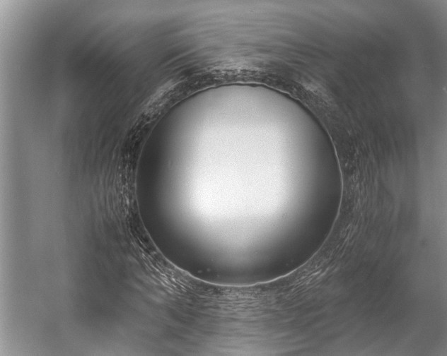 X0000057060870200509161449