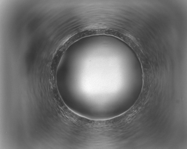 X0000057060871200509161449