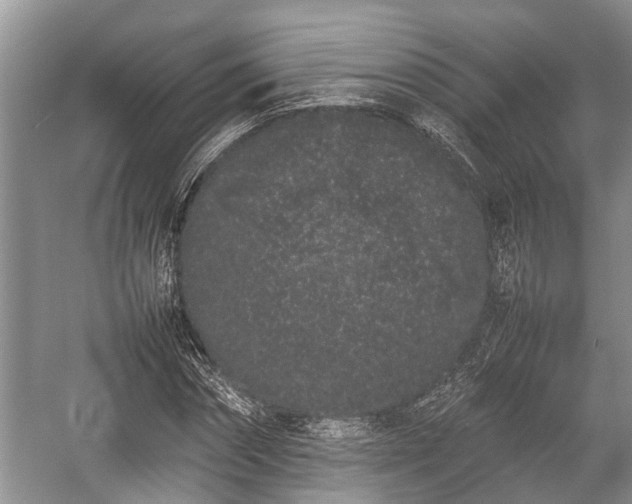 X0000057060874200509161449