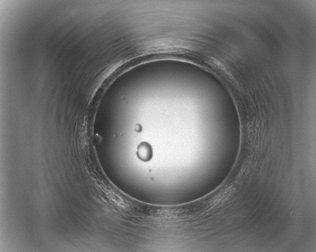 X0000057060875200509161449