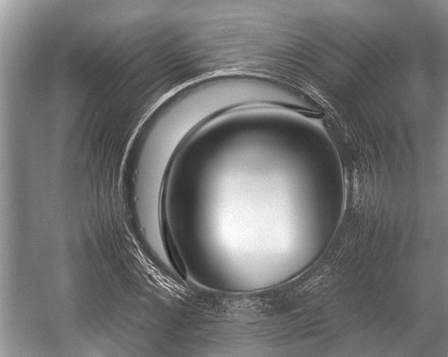 X0000057060876200509161449