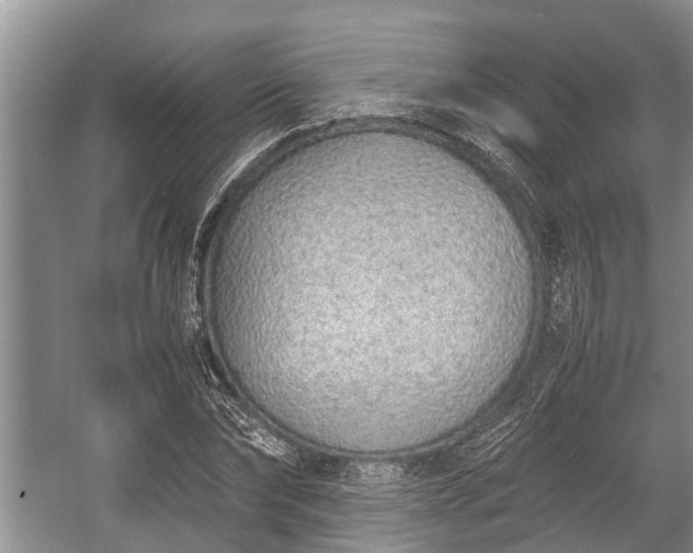 X0000057060878200509161449