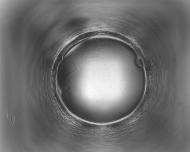 X0000057060879200509161449