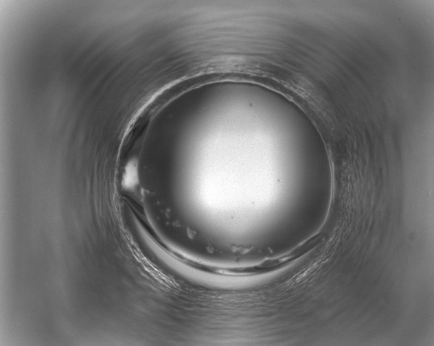 X0000057060880200509161449